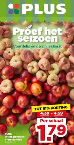 PLUS PLUS Wilde perziken of of nectarines Schaal 1 kilo aanbieding