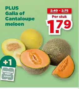 PLUS PLUS Galia of Cantaloupe meloen aanbieding