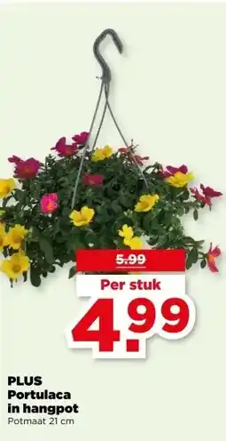 PLUS PLUS Portulaca in hangpot aanbieding