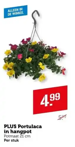 Coop PLUS Portulaca in hangpot aanbieding