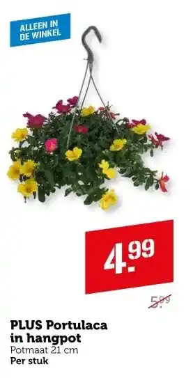 Coop PLUS Portulaca in hangpot aanbieding