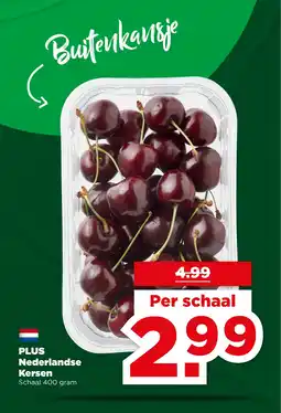 PLUS PLUS Nederlandse Kersen aanbieding