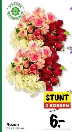 Vomar Voordeelmarkt Rozen aanbieding