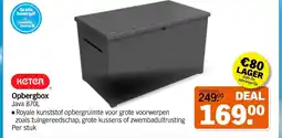 Albert Heijn Opbergbox aanbieding