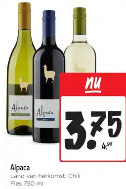 Jumbo Alpaca aanbieding