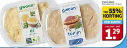 Hoogvliet G'woon salade aanbieding