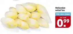 Hoogvliet Hollandse witlof los aanbieding