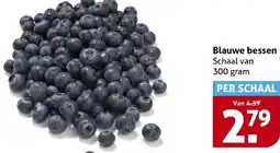 Hoogvliet Blauwe bessen aanbieding