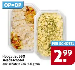 Hoogvliet Hoogvliet BBQ saladeschotel aanbieding