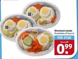 Hoogvliet Westland salade aanbieding