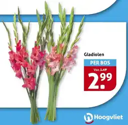 Hoogvliet Gladiolen aanbieding