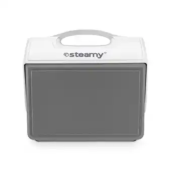ANWB Steamy Sport 15 Koelbox Grijs 15L Gray aanbieding