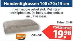 Huisdier Voordeelshop Hondenligkussen 100x70x15 cm aanbieding