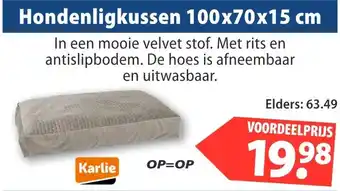 Huisdier Voordeelshop Hondenligkussen 100x70x15 cm aanbieding