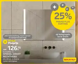Praxis SPIEGEL GRANT RECHTHOEK aanbieding