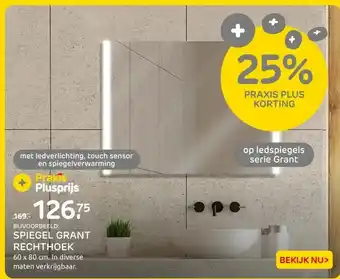 Praxis SPIEGEL GRANT RECHTHOEK aanbieding