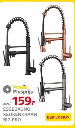 Praxis ESSEBAGNO KEUKENKRAAN BIG PRO aanbieding