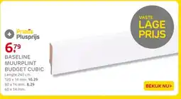 Praxis BASELINE MUURPLINT BUDGET CUBIC aanbieding