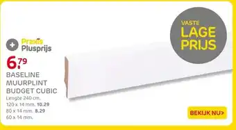 Praxis BASELINE MUURPLINT BUDGET CUBIC aanbieding