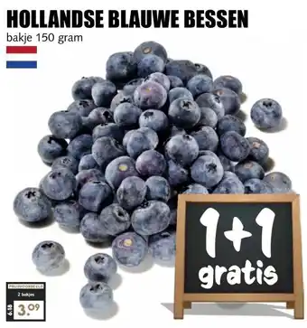 MCD Supermarkt HOLLANDSE BLAUWE BESSEN aanbieding