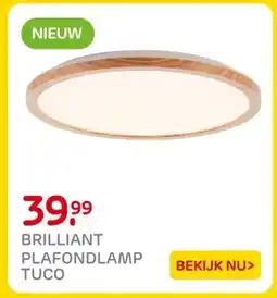 Praxis BRILLIANT PLAFONDLAMP TUCO aanbieding
