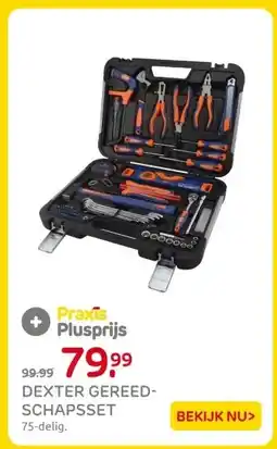Praxis DEXTER GEREED- SCHAPSSET aanbieding
