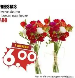 MCD Supermarkt FREESIA'S aanbieding