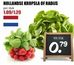 MCD Supermarkt HOLLANDSE KROPSLA OF RADIJS aanbieding