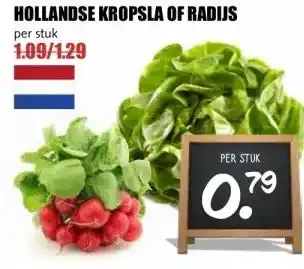 MCD Supermarkt HOLLANDSE KROPSLA OF RADIJS aanbieding