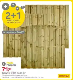 Praxis TUINSCHERM CARDIFF aanbieding