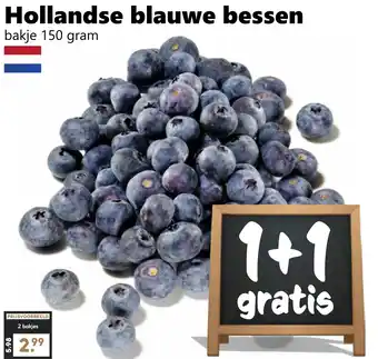 Coop Hollandse blauwe bessen aanbieding