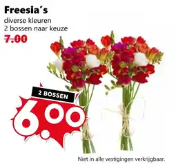 Coop Freesia's aanbieding
