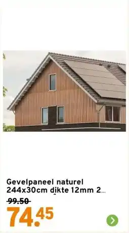 GAMMA Gevelpaneel naturel 244x30cm dikte 12mm 2 stuks 1,64 m² aanbieding