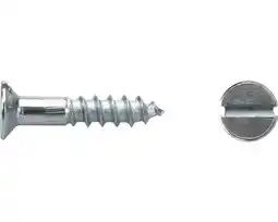 Hornbach DRESSELHAUS Houtschroef platte kop 2,5x16 mm sleuf DIN 97 galv. verzinkt, 100 stuks aanbieding