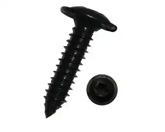 Hornbach DRESSELHAUS Plaatschroef 3,5x13 mm Torx T10 RVS A2 zwart, 100 stuks aanbieding
