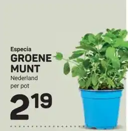 Ekoplaza Especia GROENE MUNT aanbieding