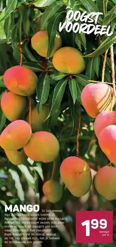 Ekoplaza MANGO aanbieding
