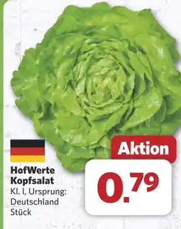 Combi HofWerte Kopfsalat aanbieding