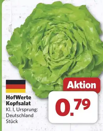 Combi HofWerte Kopfsalat aanbieding