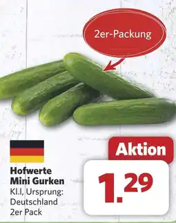 Combi Hofwerte Mini Gurken aanbieding