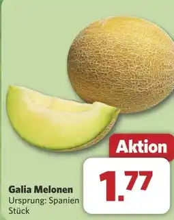 Combi Galia Melonen aanbieding