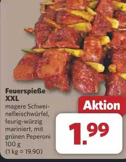 Combi Feuerspieße XXL aanbieding