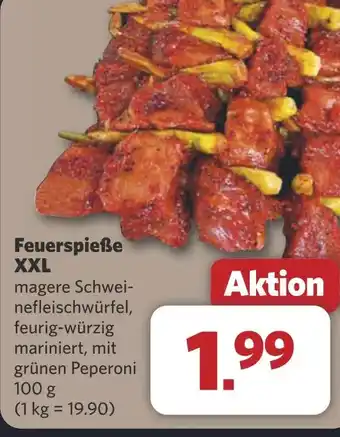 Combi Feuerspieße XXL aanbieding