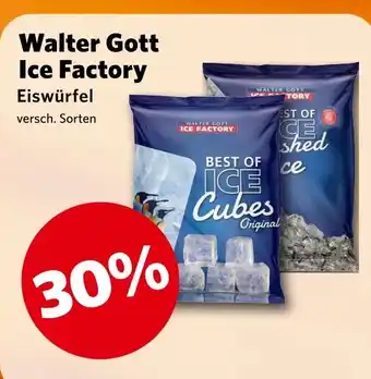 Combi Walter Gott Ice Factory aanbieding
