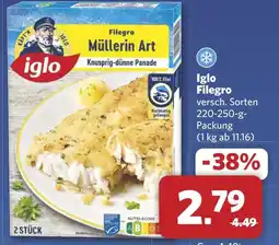 Combi Iglo Filegro aanbieding