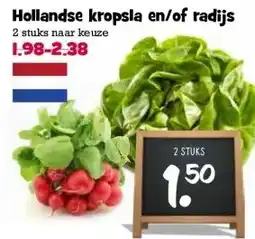 Boon`s Markt Hollandse kropsla en/of radijs aanbieding