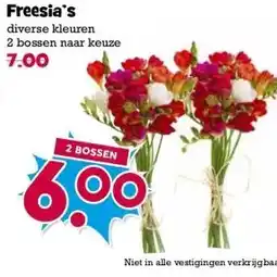 Boon`s Markt Freesia's diverse kleuren 2 bossen naar keuze aanbieding