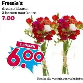 Boon`s Markt Freesia's diverse kleuren 2 bossen naar keuze aanbieding