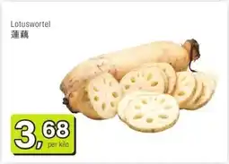 Amazing Oriëntal Lotuswortel 蓮藕 aanbieding