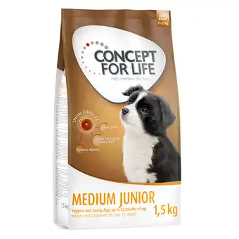 Zooplus 1,5 kg Medium Junior Concept for Life Hondenvoer aanbieding